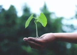 The art of identifying and developing human potential - training with a psychologist