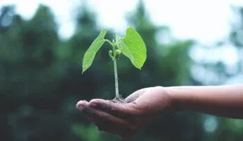 The art of identifying and developing human potential - training with a psychologist