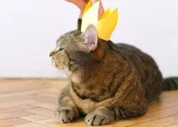 Budowanie relacji z monopolistą