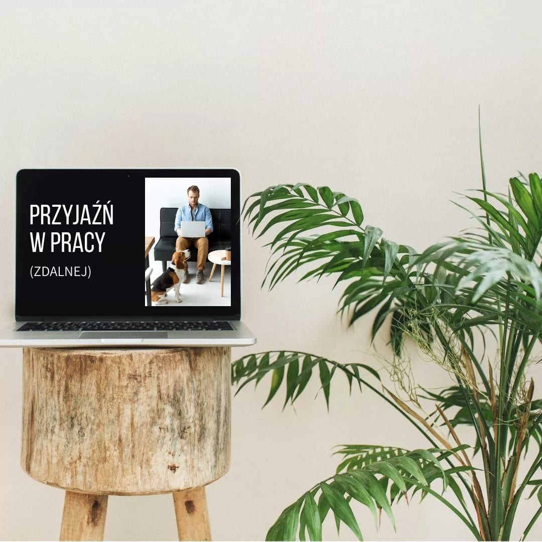przyjaźń w pracy